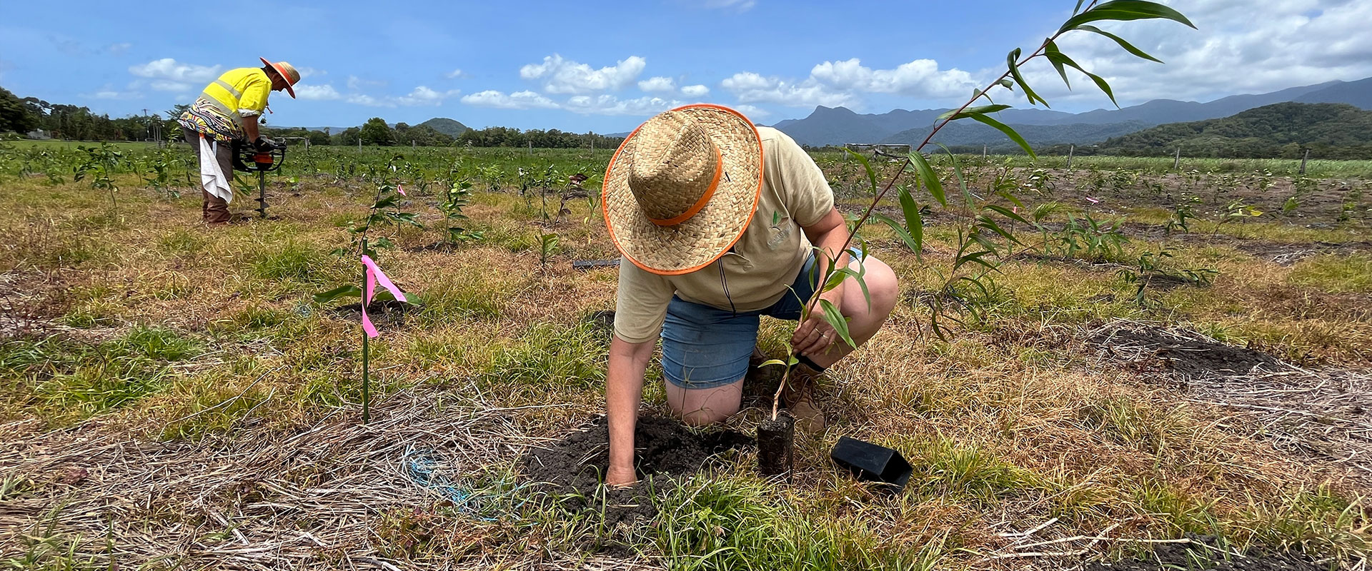 Dave and Connie tree planting at the Bells Road site in Lower Daintree.