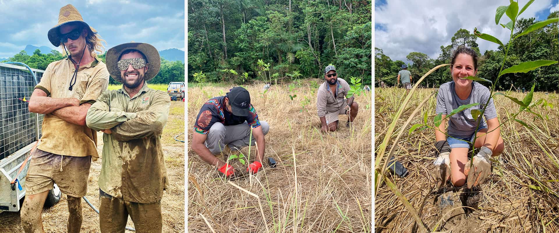 Prepping and planting at Mossman Botanic Garden