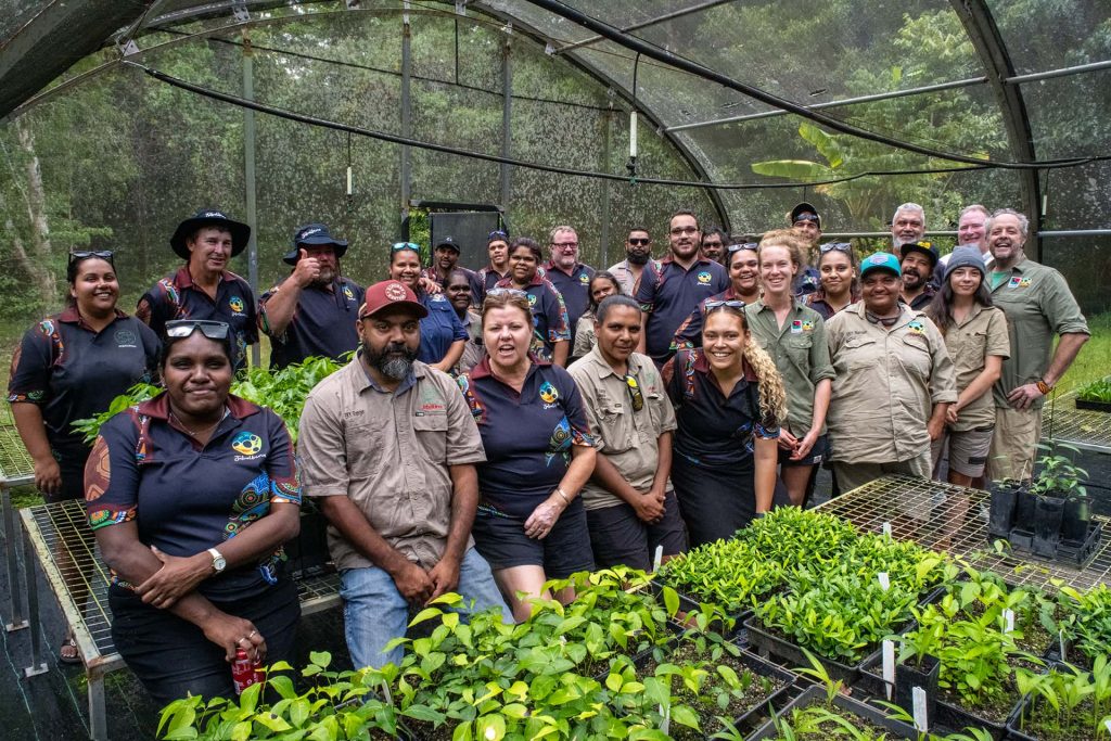 Rainforest Rescue and Jabalbina Yalanji Aboriginal Corporation team members get together at Diwan rainforest nursery.