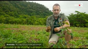 France 2 - 20h features Rainforest Rescue's Mark Cox