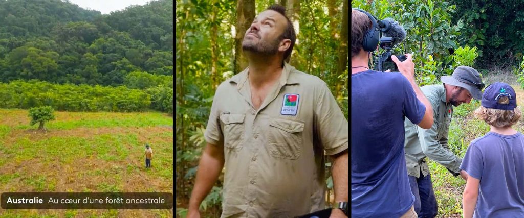 Rainforest Rescue and French TV crews filming in the Daintree