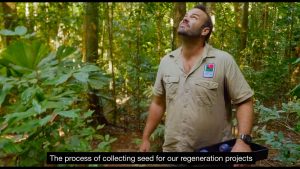 Saving Paradise - documenting the Daintree Rainforest