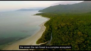 Saving Paradise - documenting the Daintree Rainforest