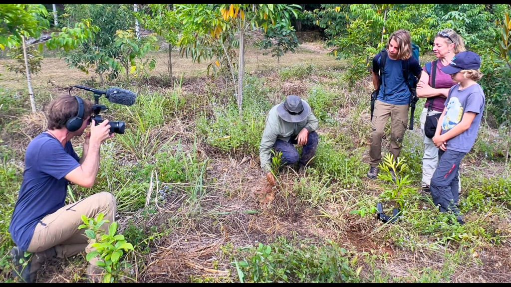 TF1 filming - Rainforest Rescue tree planting