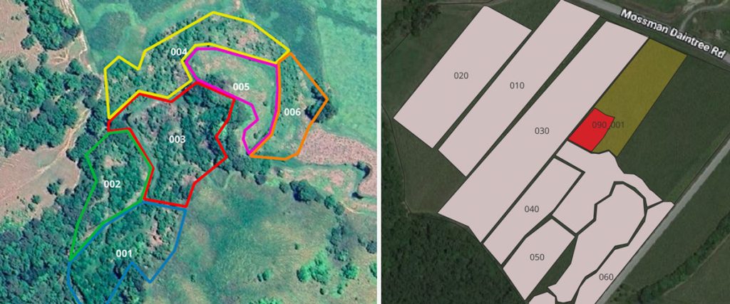 Rainforest restoration site mapping using QGIS software
