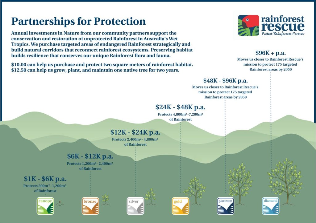 Partners for Protection Tiers Rainforest Rescue