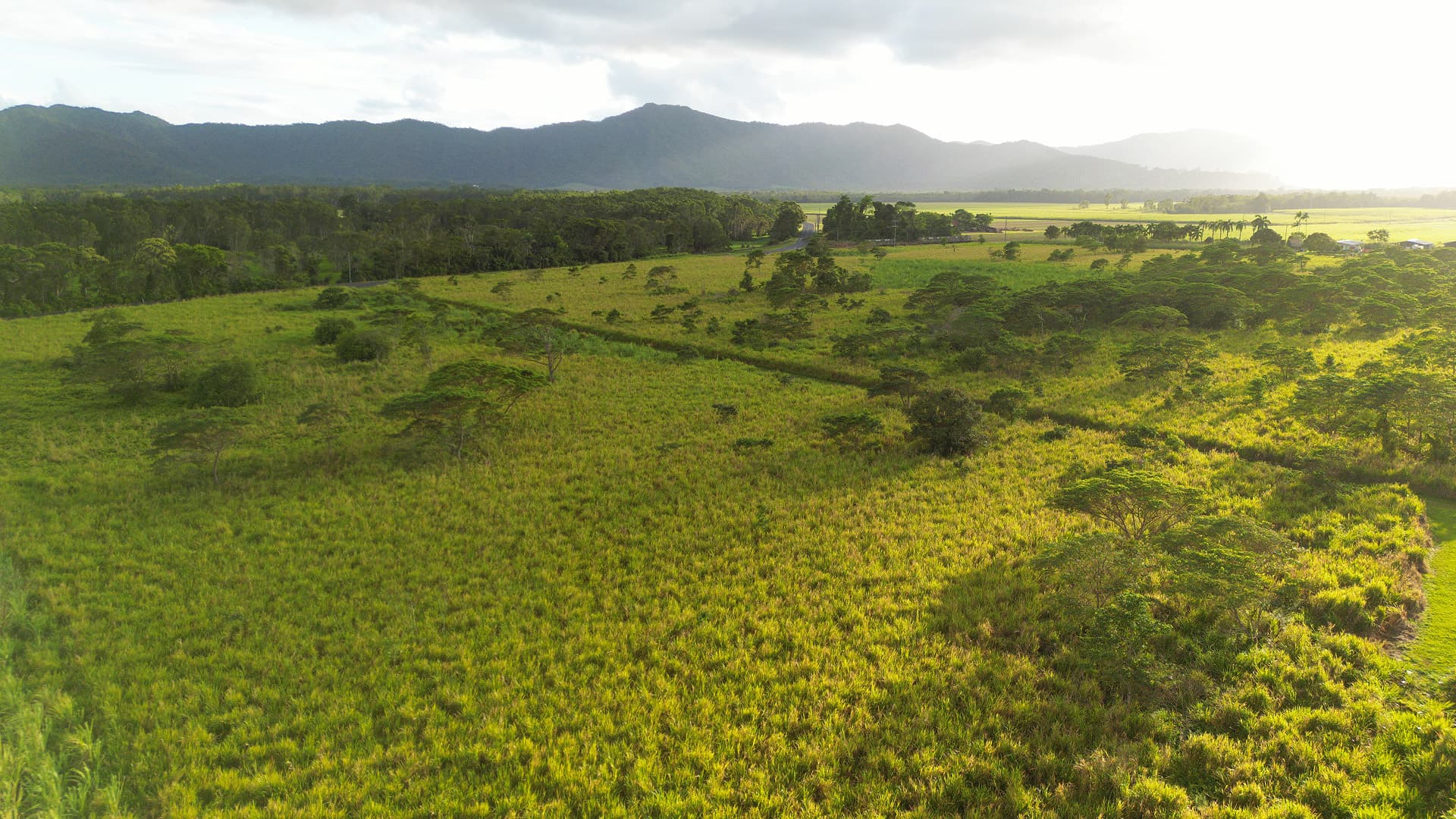 rainforest-rescue_lot110-drone-min