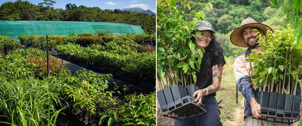 habitat restoration requires good planning of the right plants