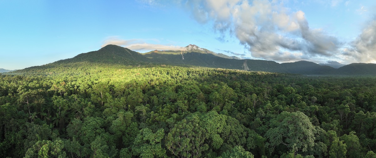 Kuranji Bubu and Thornton Peak, 20240713