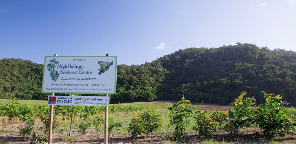 NightWings Rainforest Centre in 2016 - Credit: Martin Stringer Photography