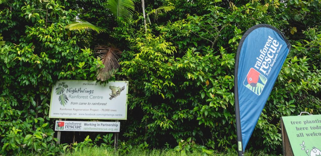 NightWings Rainforest Centre in 2025 - Credit: Martin Stringer Photography