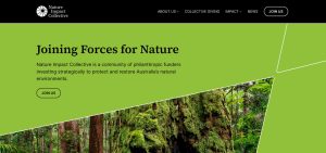 Rainforest Rescue - Trusts & Foundations Partners - Nature Impact Collective