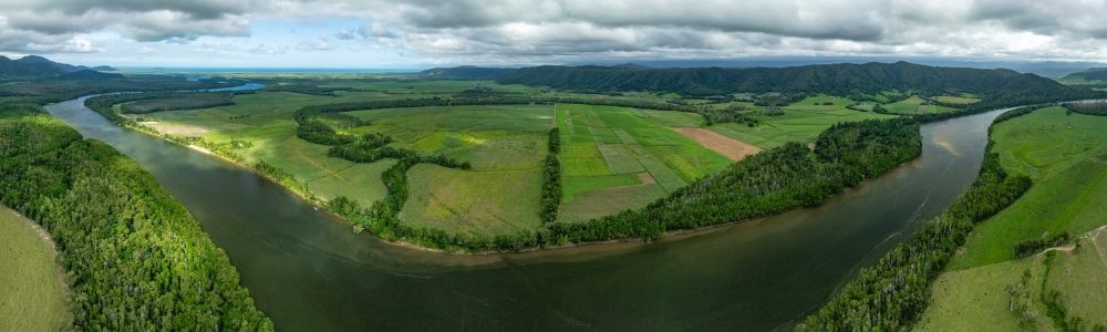 From struggling farmland to thriving wetland: A win–win–win for Douglas Shire (feature)