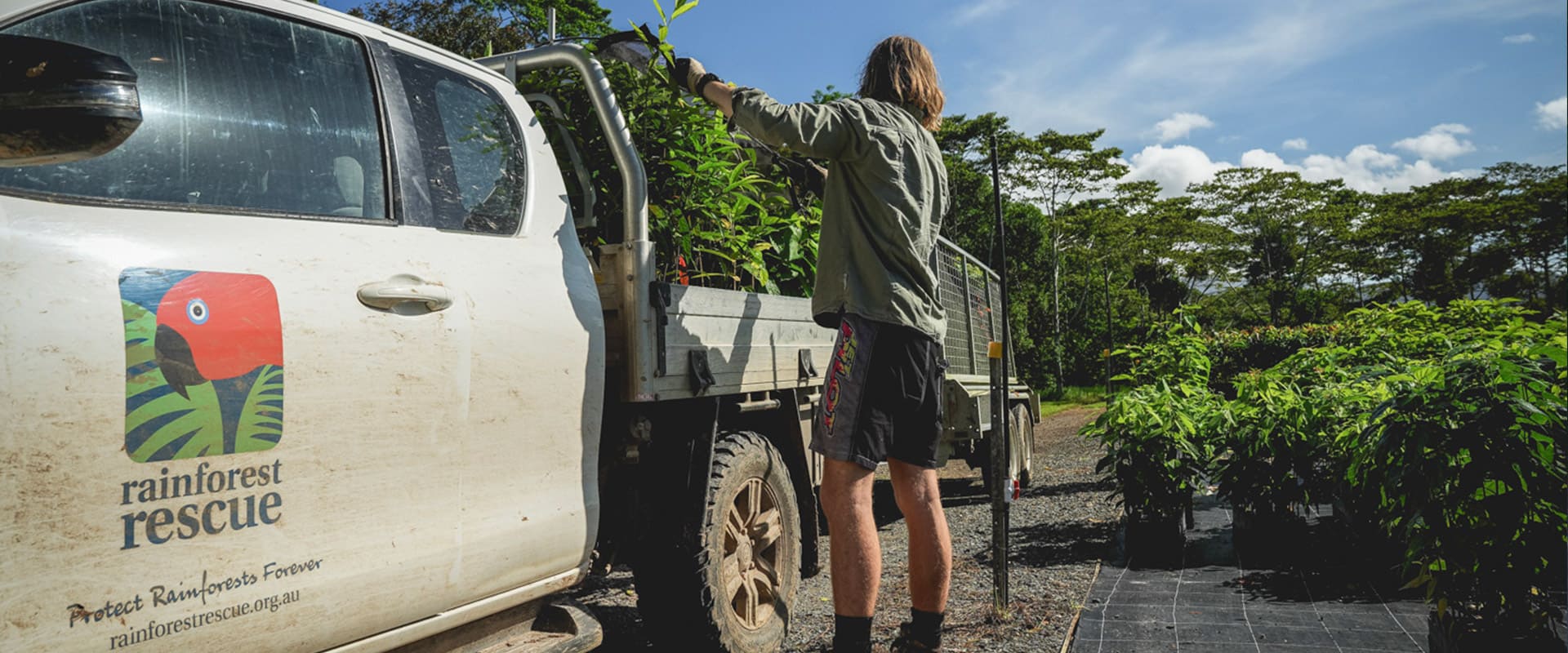 Climate change and the role of tropical forests - Rainforest Rescue ...