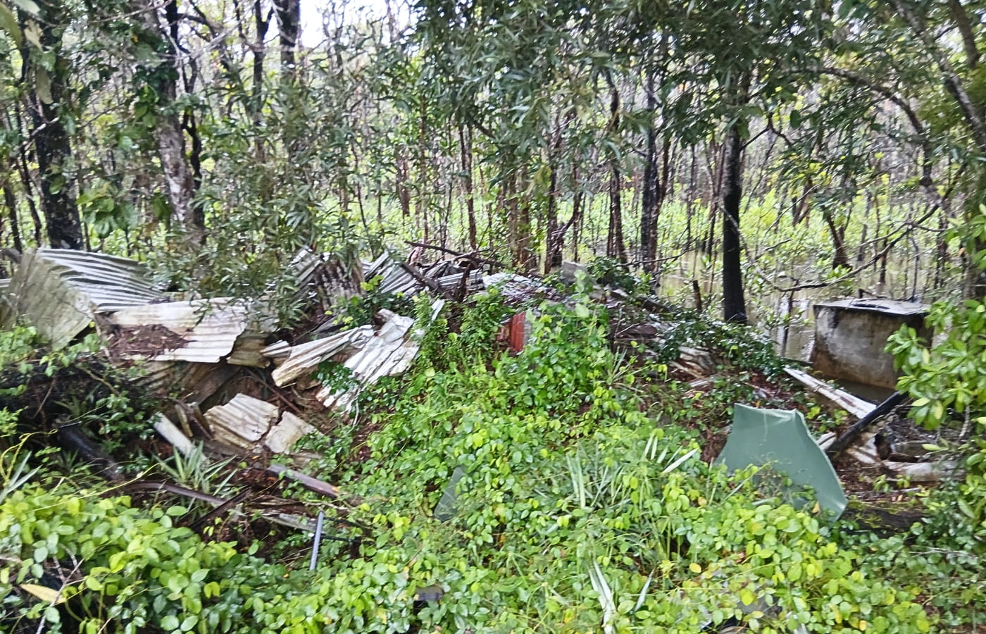 rainforest-rescue_daintree-oxbow_rubbish-mangroves rainforest-rescue_daintree-oxbow_rubbish-mangroves