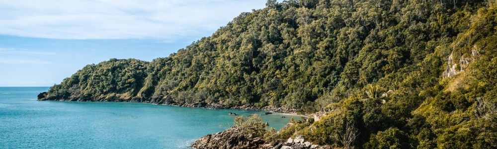 Cow Bay Beach © Martin Stringer
