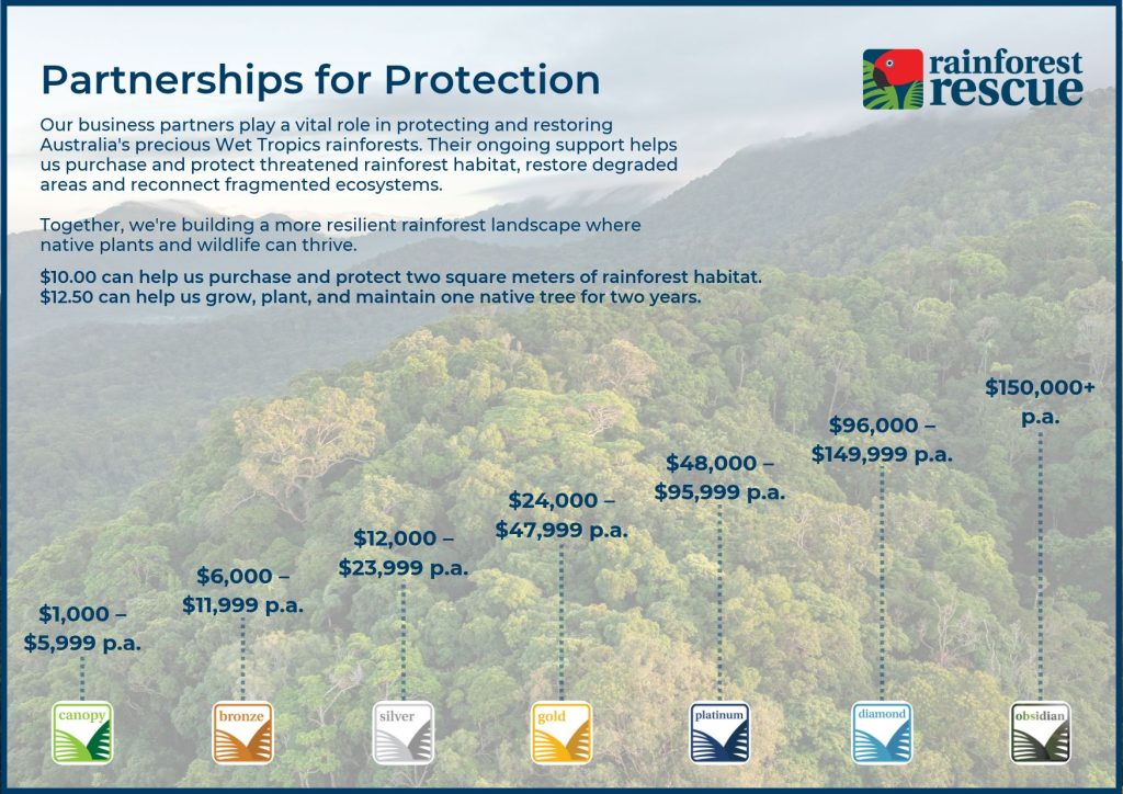 business-tiers-pdf-oct-2026-web