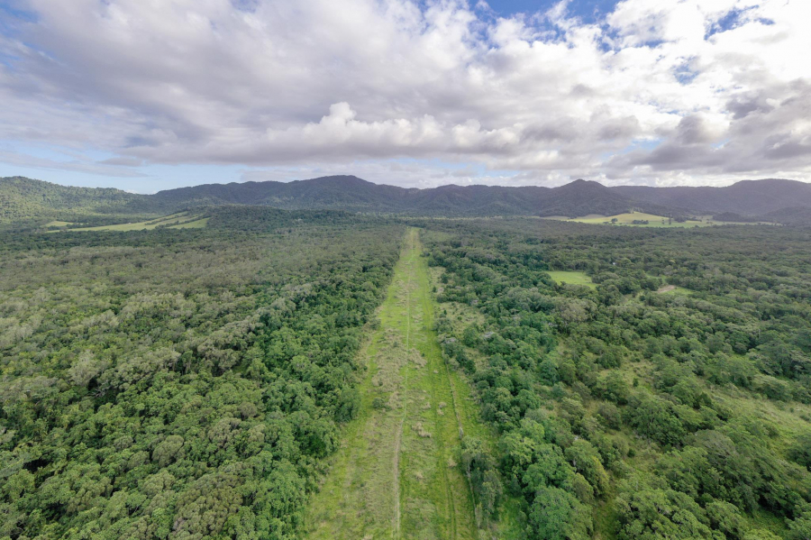 Rainforest Rescue's Native Nursery Site