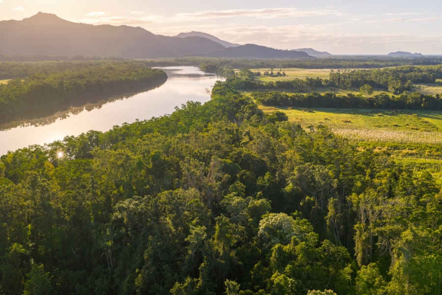 appeal-banner_oxbow-daintree-river