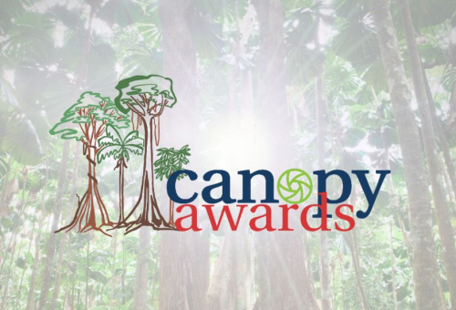 rainforest-rescue-canopy-awards