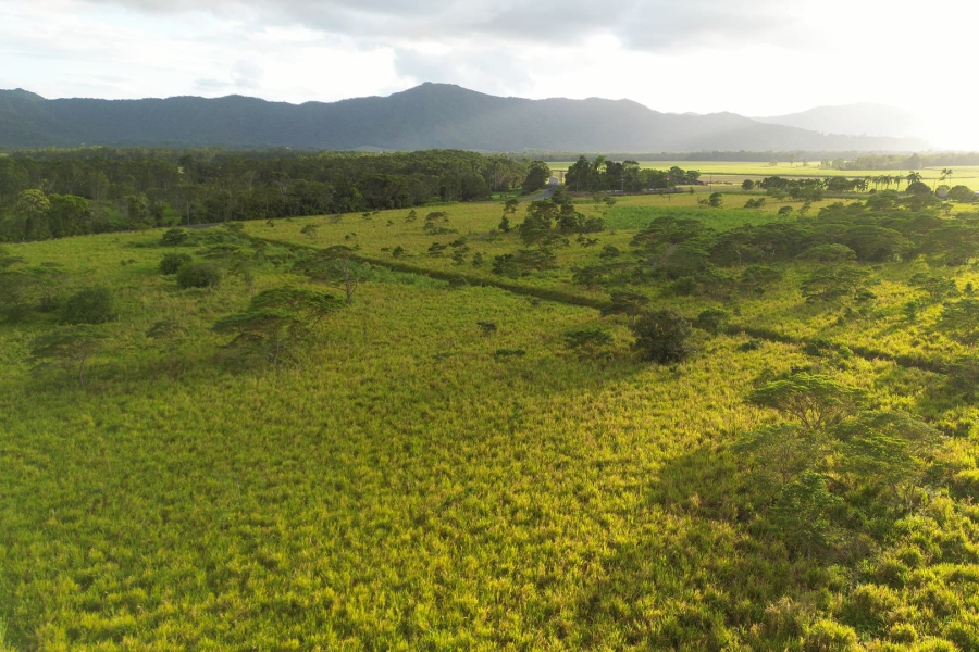 rainforest-rescue_lot110-drone-min